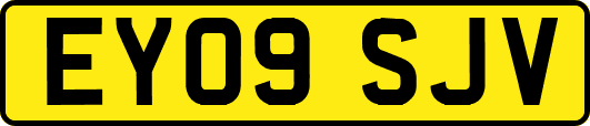 EY09SJV