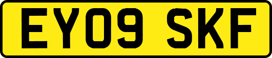 EY09SKF