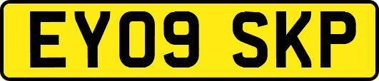 EY09SKP