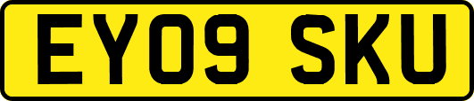 EY09SKU
