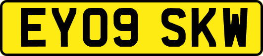 EY09SKW