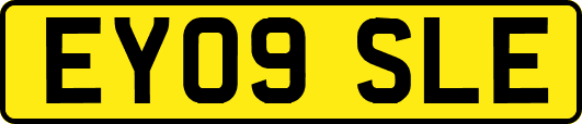EY09SLE