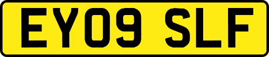 EY09SLF