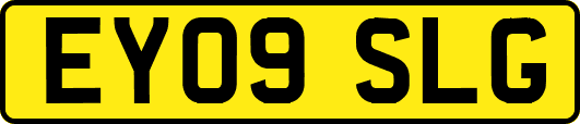 EY09SLG