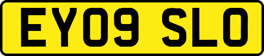 EY09SLO