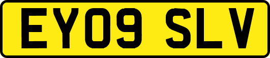 EY09SLV
