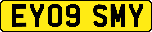 EY09SMY