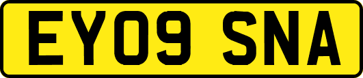 EY09SNA