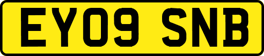 EY09SNB