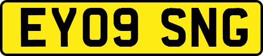 EY09SNG