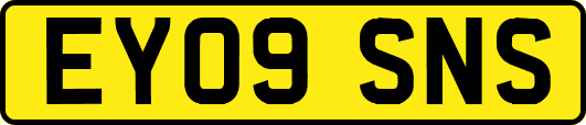 EY09SNS