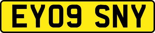 EY09SNY