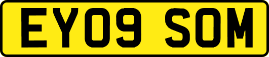 EY09SOM