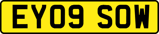 EY09SOW