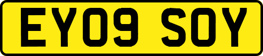 EY09SOY