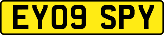 EY09SPY