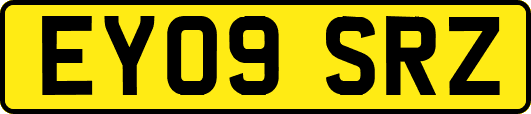EY09SRZ