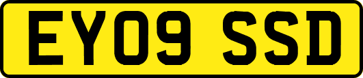 EY09SSD
