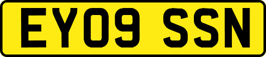 EY09SSN