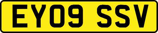 EY09SSV