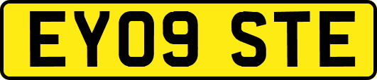 EY09STE