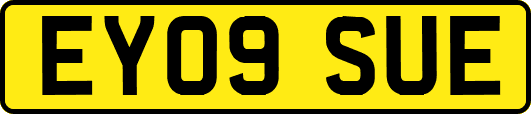 EY09SUE