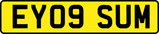 EY09SUM