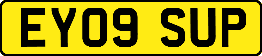 EY09SUP