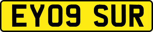 EY09SUR