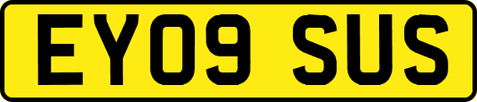 EY09SUS