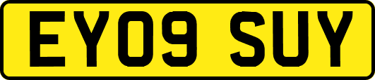 EY09SUY