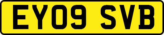 EY09SVB