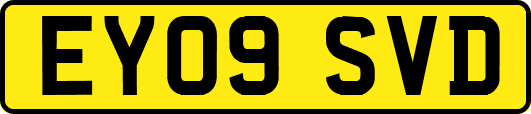 EY09SVD