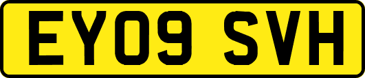 EY09SVH