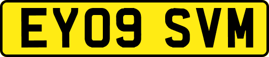 EY09SVM