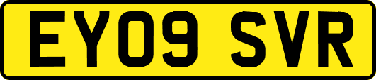 EY09SVR