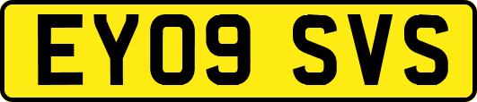 EY09SVS
