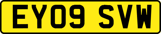 EY09SVW