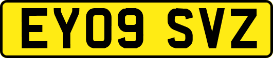 EY09SVZ