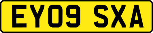 EY09SXA