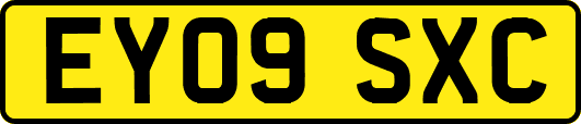 EY09SXC