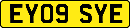 EY09SYE