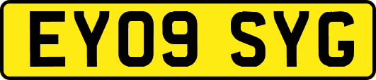 EY09SYG