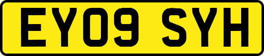 EY09SYH
