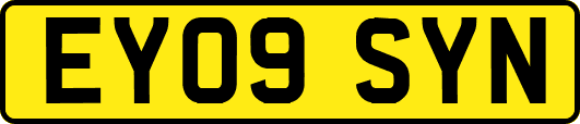 EY09SYN