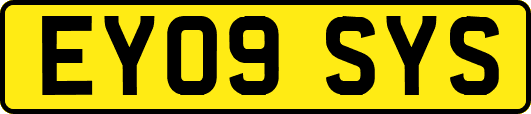 EY09SYS