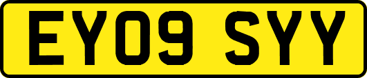 EY09SYY