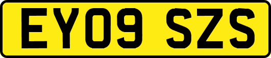 EY09SZS