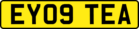 EY09TEA