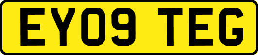 EY09TEG